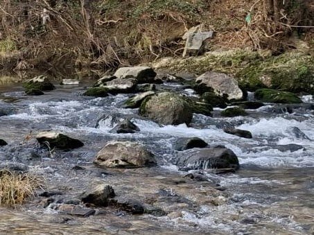 PHOTO CDCK06 A9